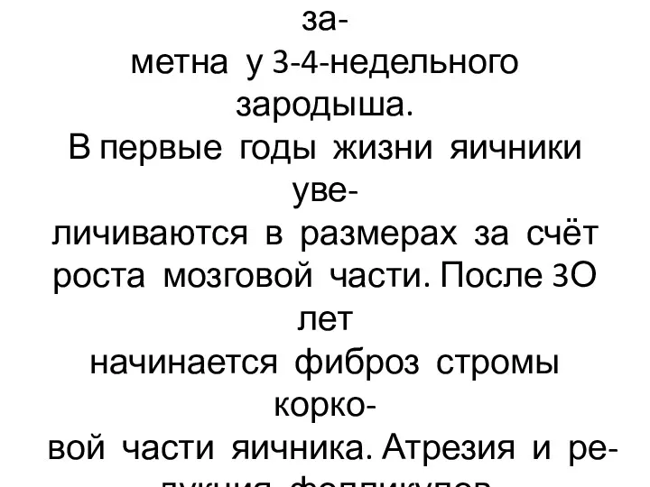 Закладка гонад происходит в на- чальных стадиях эмбриогенеза, за- метна