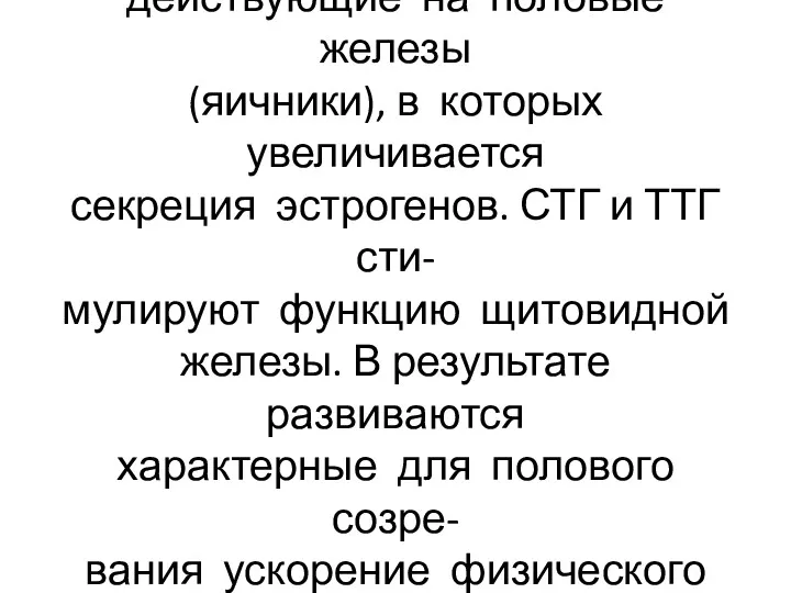 Гипоталамо-гипофизарная система (ГГС) выделяет гонадотропины, действующие на половые железы (яичники),