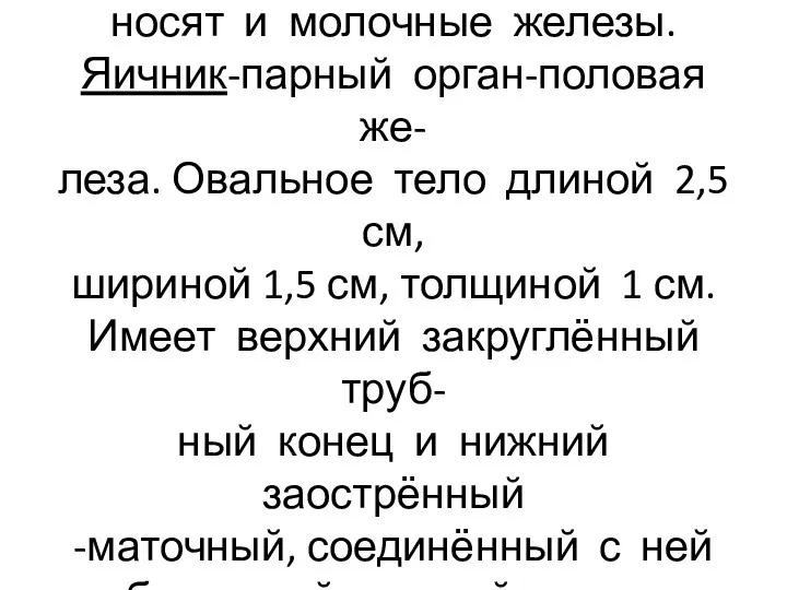 К половым органам женщины от- носят и молочные железы. Яичник-парный