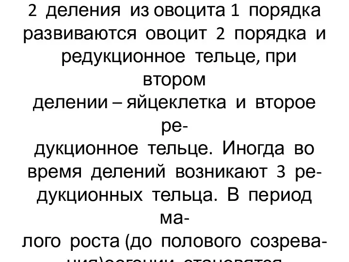 3 стадия-период созревания: через 2 деления из овоцита 1 порядка