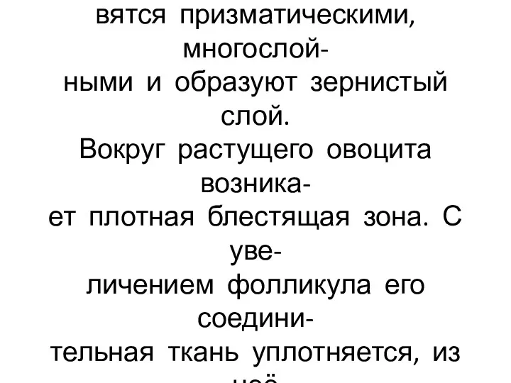 В период большого роста уплощён- ные фолликулярные клетки стано- вятся