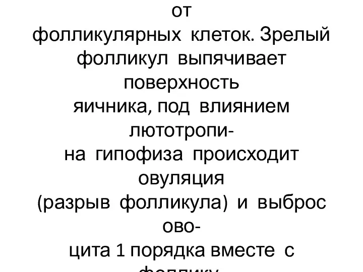 Клетки лучистого венца передают питательные вещества овоциту от фолликулярных клеток.