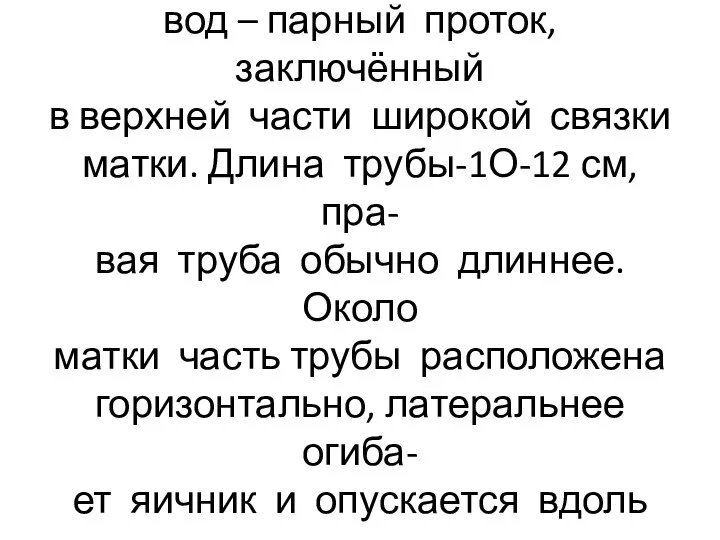 Маточная (фаллопиева) труба, яйце- вод – парный проток, заключённый в