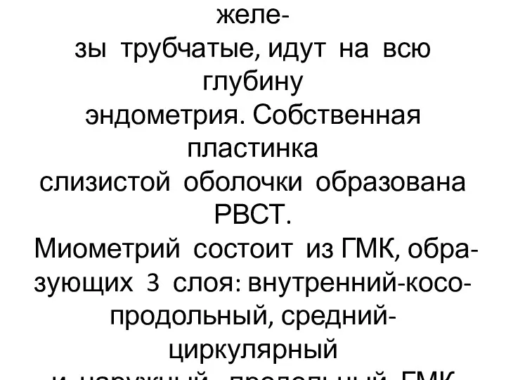 Иногда встречаются крупные деци- дуальные клетки. Маточные желе- зы трубчатые,