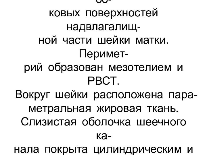 Периметрий покрывает большую часть матки, кроме передней и бо- ковых