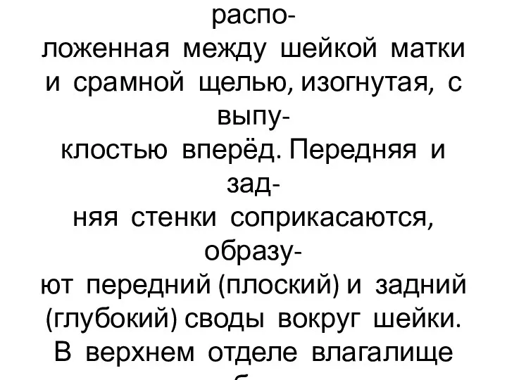 Влагалище-мышечно-фиброзная трубка длиной около 8 см, распо- ложенная между шейкой