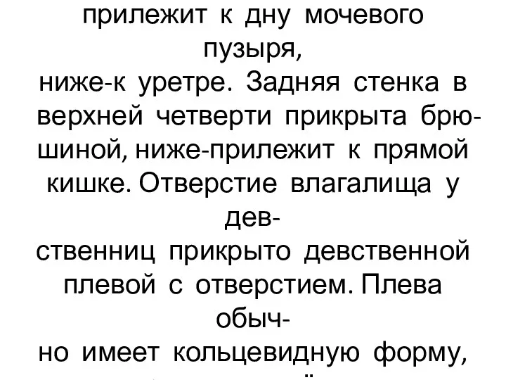 Передняя стенка влагалища сверху прилежит к дну мочевого пузыря, ниже-к