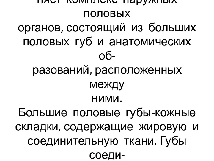 Женская срамная область объеди- няет комплекс наружных половых органов, состоящий