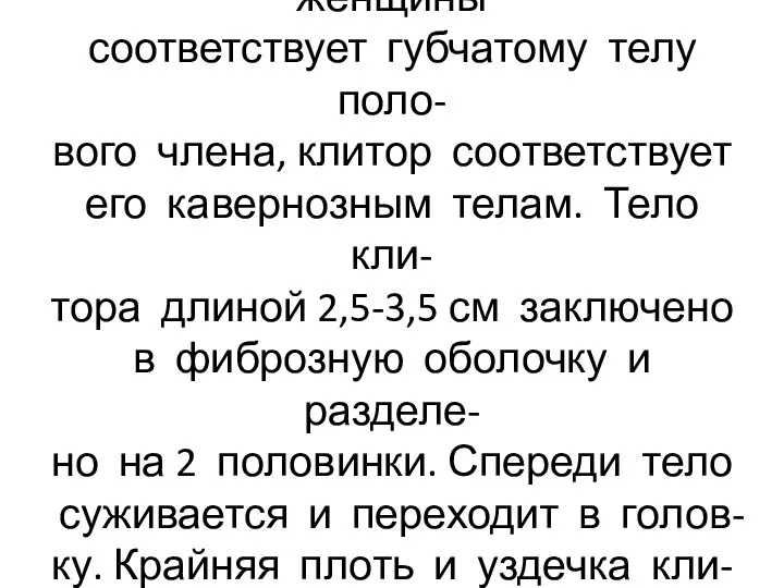 Луковица преддверия у женщины соответствует губчатому телу поло- вого члена,