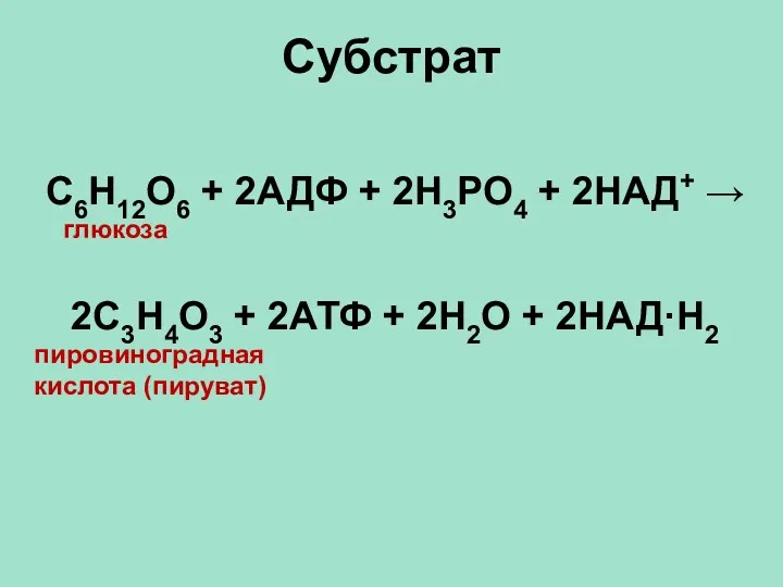 Субстрат С6Н12О6 + 2АДФ + 2Н3РО4 + 2НАД+ → глюкоза