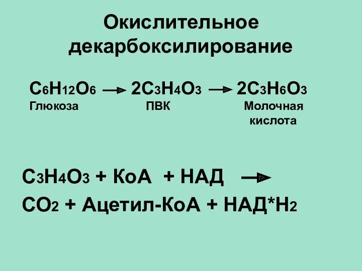 Окислительное декарбоксилирование С3Н4О3 + КоА + НАД СО2 + Ацетил-КоА
