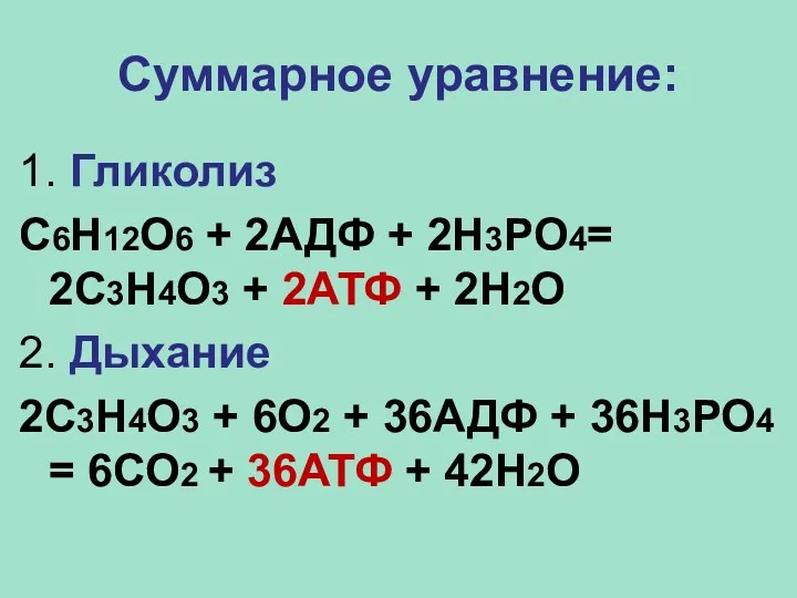 Суммарное уравнение: 1. Гликолиз С6Н12О6 + 2АДФ + 2Н3РО4= 2С3Н4О3