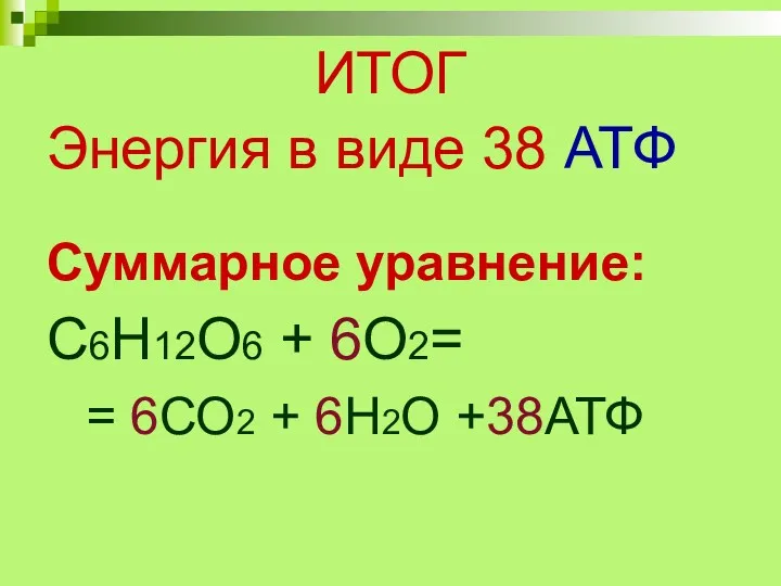 ИТОГ Энергия в виде 38 АТФ Суммарное уравнение: С6Н12О6 + 6О2= = 6СО2 + 6Н2О +38АТФ