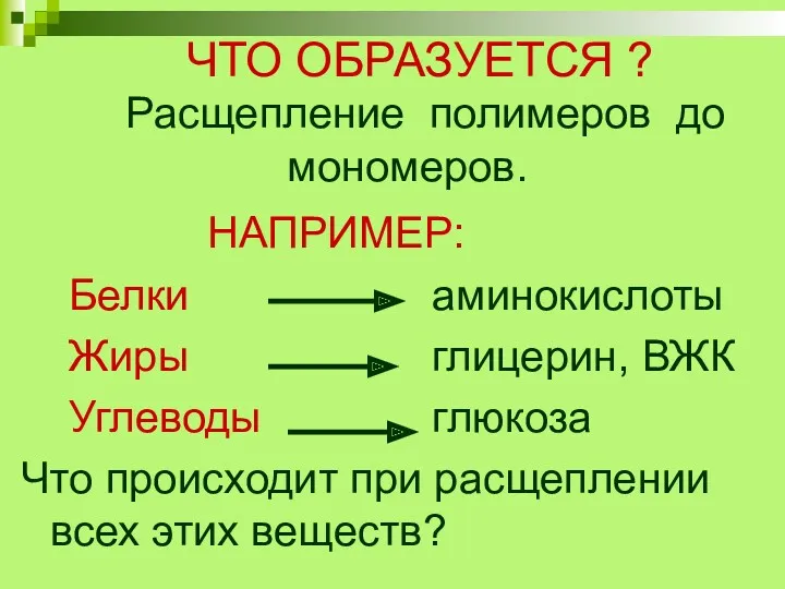 ЧТО ОБРАЗУЕТСЯ ? Расщепление полимеров до мономеров. НАПРИМЕР: Белки аминокислоты