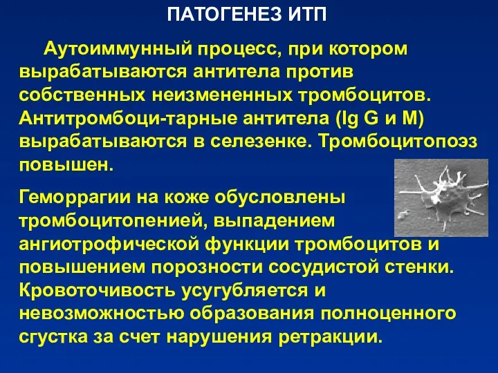 ПАТОГЕНЕЗ ИТП Аутоиммунный процесс, при котором вырабатываются антитела против собственных