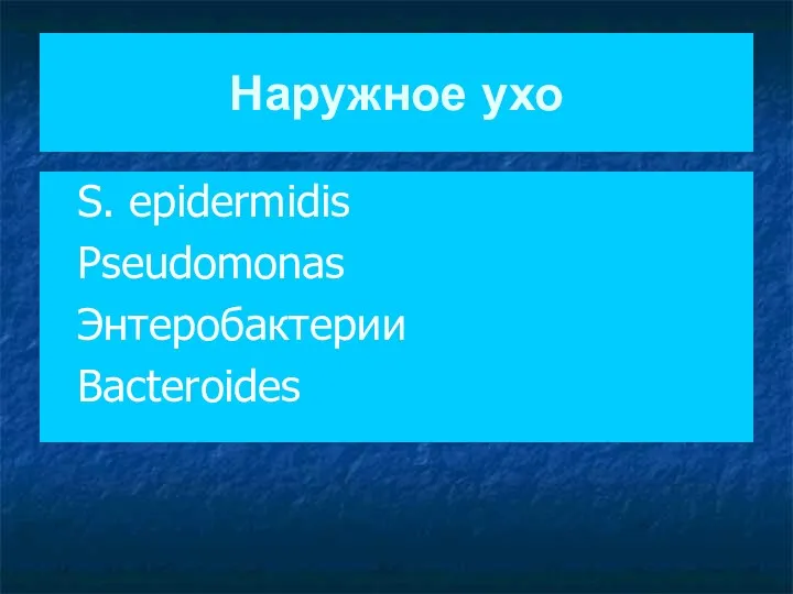 Наружное ухо S. epidermidis Pseudomonas Энтеробактерии Bacteroides