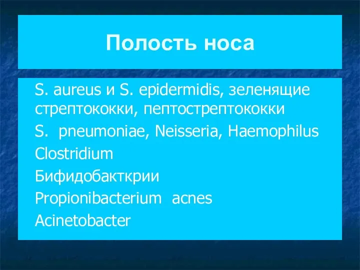 Полость носа S. aureus и S. epidermidis, зеленящие стрептококки, пептострептококки S. pneumoniae, Neisseria,