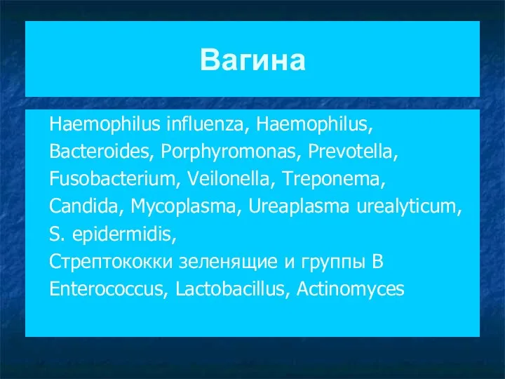 Вагина Haemophilus influenza, Haemophilus, Bacteroides, Porphyromonas, Prevotella, Fusobacterium, Veilonella, Treponema, Candida, Mycoplasma, Ureaplasma