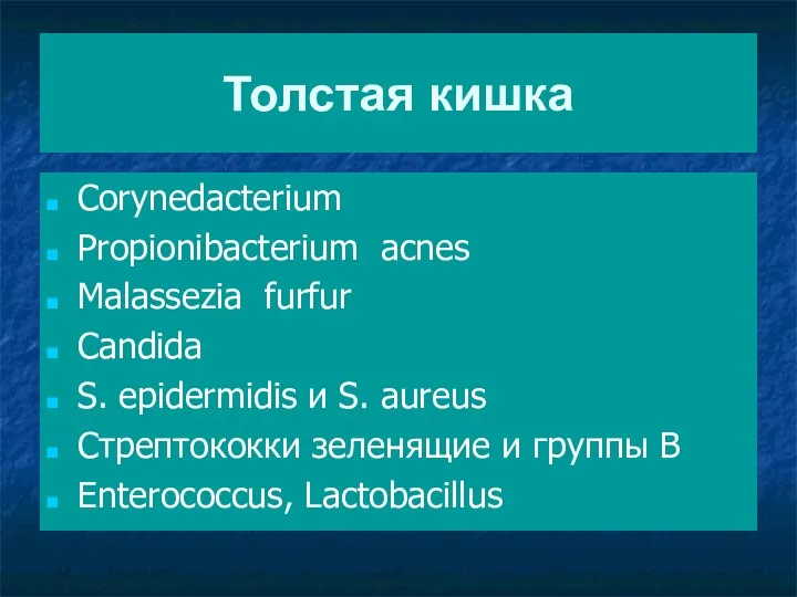 Толстая кишка Corynedacterium Propionibacterium acnes Malassezia furfur Candida S. epidermidis и S. aureus