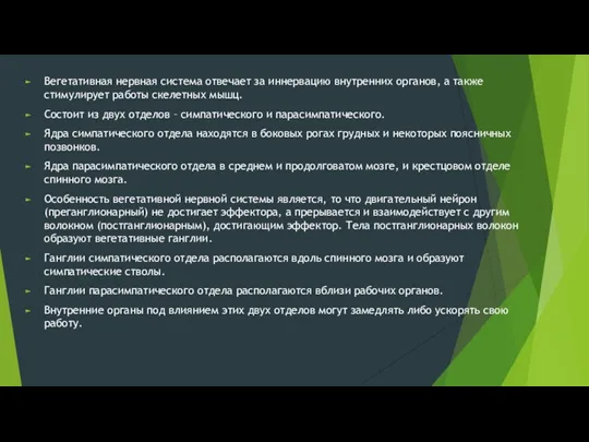 Вегетативная нервная система отвечает за иннервацию внутренних органов, а также