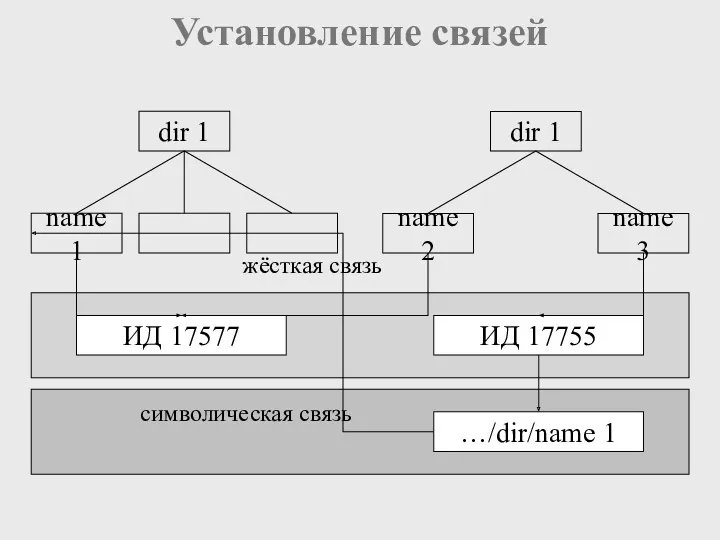 Установление связей dir 1 name 1 dir 1 name 3