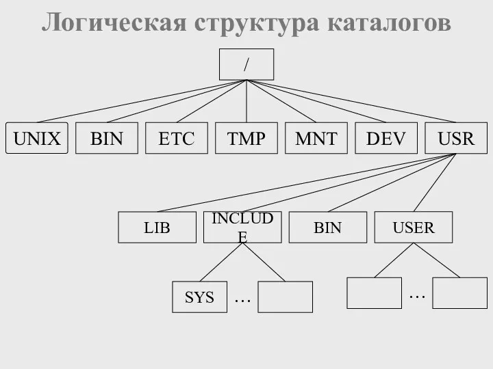 Логическая структура каталогов UNIX / BIN ETC TMP MNT DEV