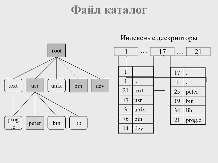 Файл каталог text usr unix bin dev root prog.c bin