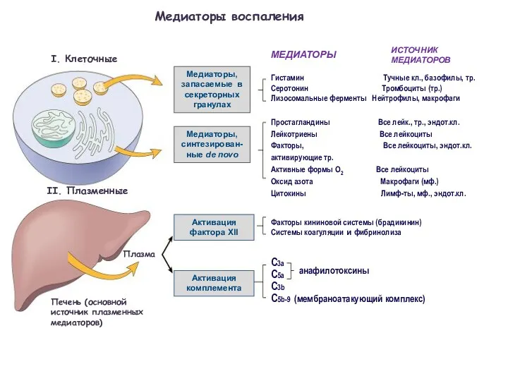 Медиаторы воспаления I. Клеточные II. Плазменные Медиаторы, запасаемые в секреторных