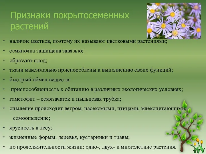 наличие цветков, поэтому их называют цветковыми растениями; семяпочка защищена завязью;