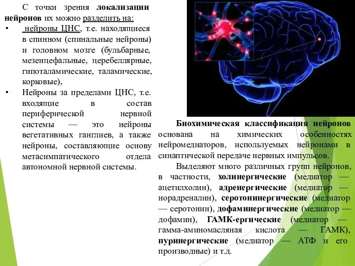 С точки зрения локализации нейронов их можно разделить на: нейроны