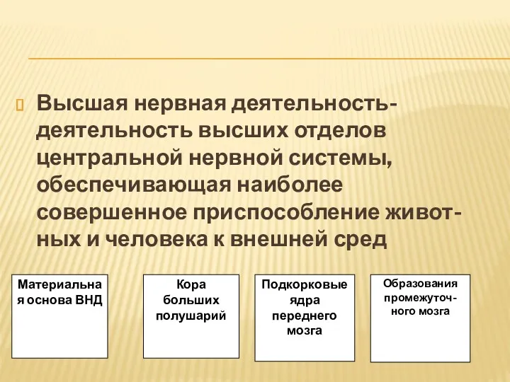 Высшая нервная деятельность- деятельность высших отделов центральной нервной системы, обеспечивающая