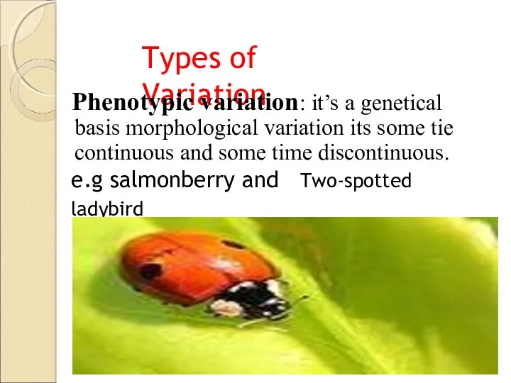 Types of Variation Phenotypic variation: it’s a genetical basis morphological variation its some