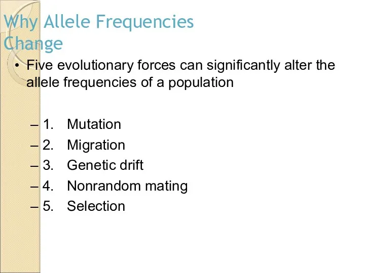 Why Allele Frequencies Change Five evolutionary forces can significantly alter