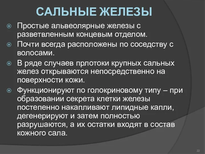 САЛЬНЫЕ ЖЕЛЕЗЫ Простые альвеолярные железы с разветвленным концевым отделом. Почти