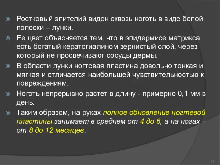 Ростковый эпителий виден сквозь ноготь в виде белой полоски –