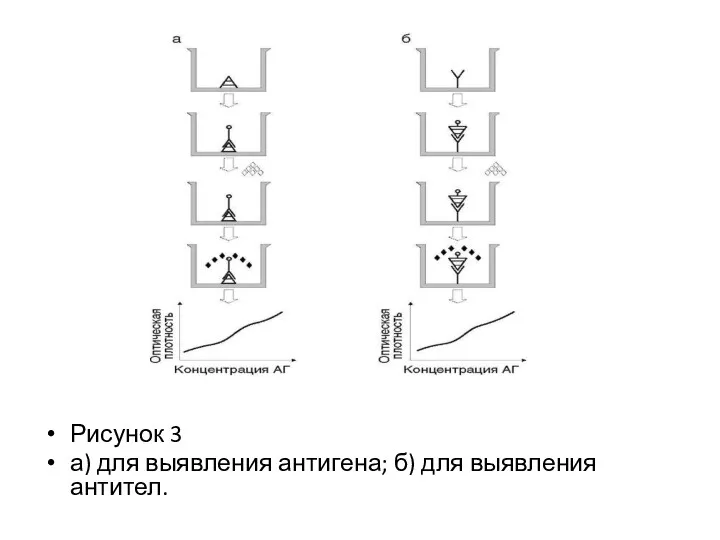 Рисунок 3 а) для выявления антигена; б) для выявления антител.