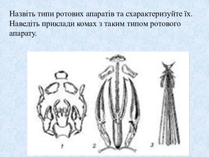 Назвіть типи ротових апаратів та схарактеризуйте їх. Наведіть приклади комах з таким типом ротового апарату.