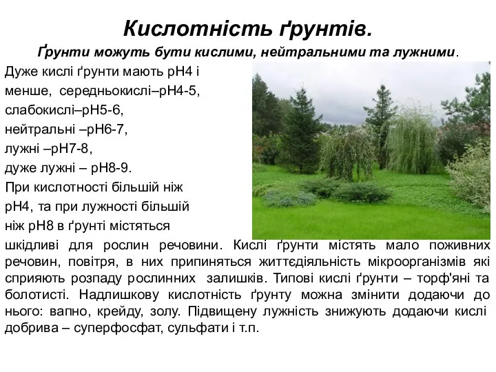 Кислотність ґрунтів. Ґрунти можуть бути кислими, нейтральними та лужними. Дуже кислі ґрунти мають