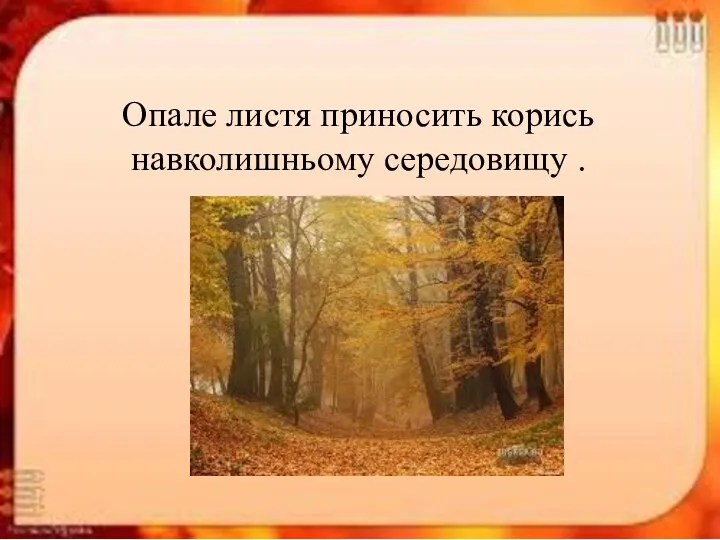 Опале листя приносить корись навколишньому середовищу .