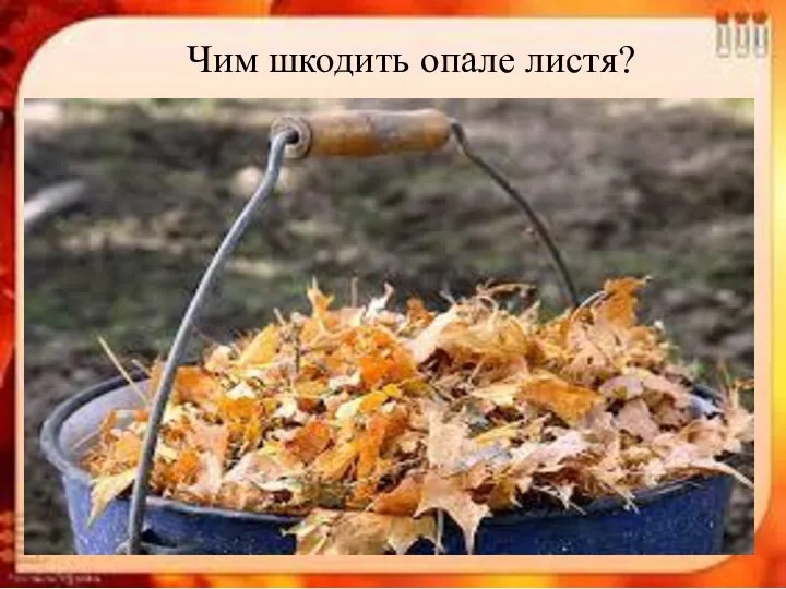 Чим шкодить опале листя?