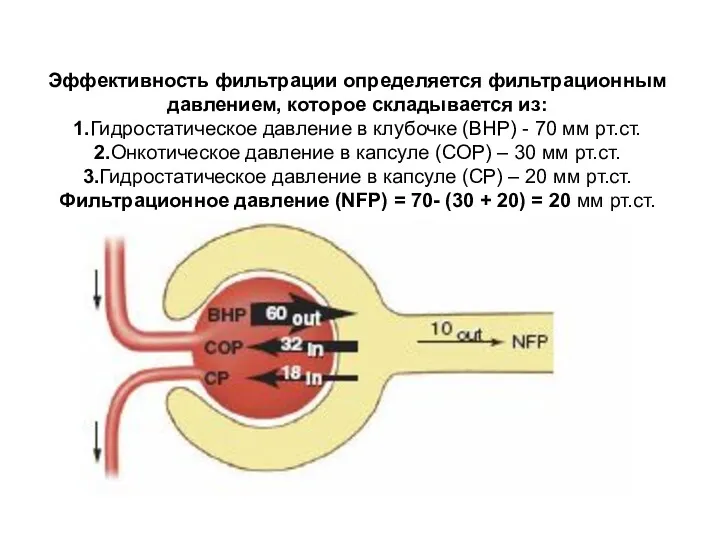 Эффективность фильтрации определяется фильтрационным давлением, которое складывается из: 1.Гидростатическое давление