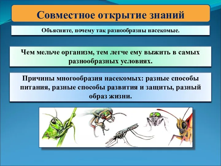 Совместное открытие знаний Объясните, почему так разнообразны насекомые. Чем мельче