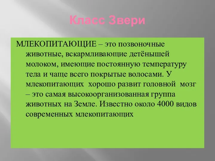 Класс Звери МЛЕКОПИТАЮЩИЕ – это позвоночные животные, вскармливающие детёнышей молоком,