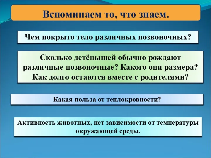 Вспоминаем то, что знаем. Какая польза от теплокровности? Чем покрыто