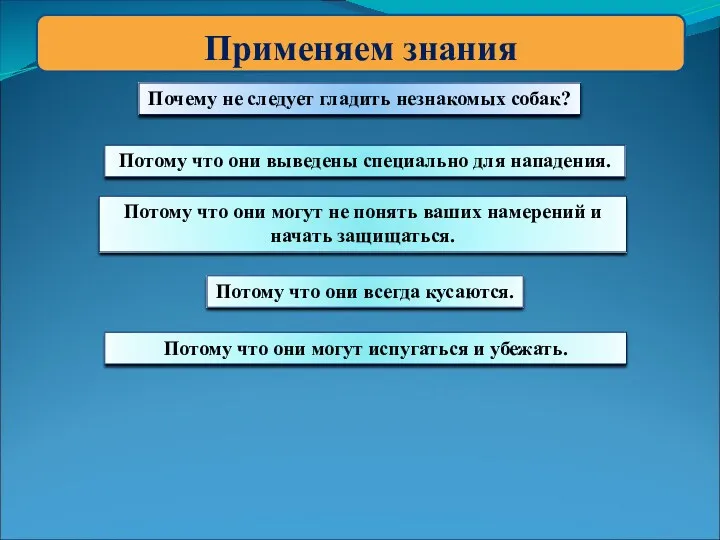 Применяем знания Почему не следует гладить незнакомых собак? Потому что