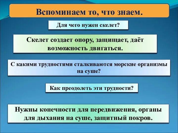 Вспоминаем то, что знаем. С какими трудностями сталкиваются морские организмы