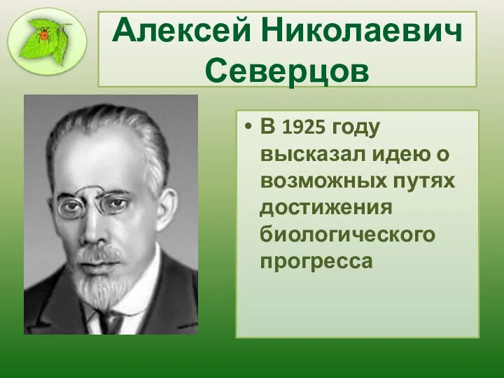Алексей Николаевич Северцов В 1925 году высказал идею о возможных путях достижения биологического прогресса