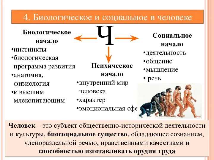 4. Биологическое и социальное в человеке Ч Биологическое начало инстинкты