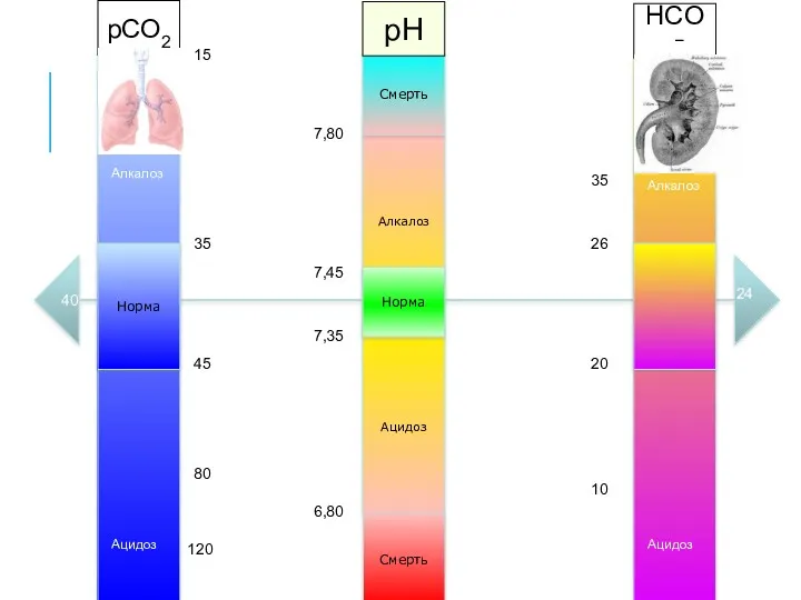 Алкалоз Ацидоз Норма Смерть Смерть 7,35 7,45 6,80 7,80 Норма pCO2 pH HCO3−