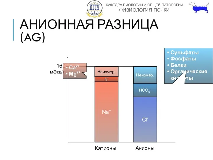 АНИОННАЯ РАЗНИЦА (AG) Na+ K+ Неизмер. Анионы Катионы 160 мЭкв/л Cl- HCO3− Неизмер.